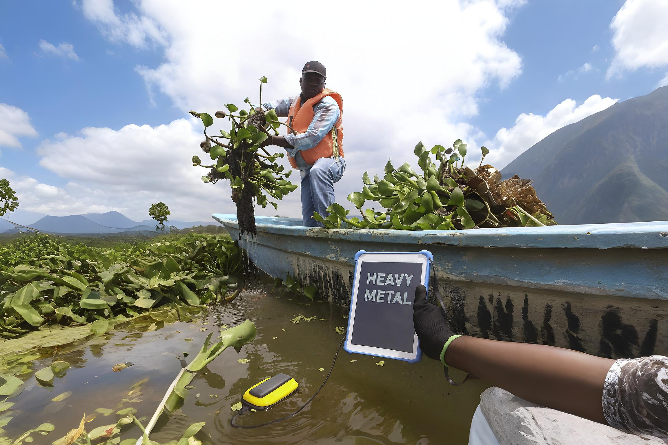  Detecting Heavy Metal Contamination in Seawater